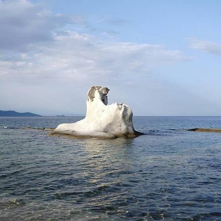 Agrampeli Villa Ierissós Luaran gambar