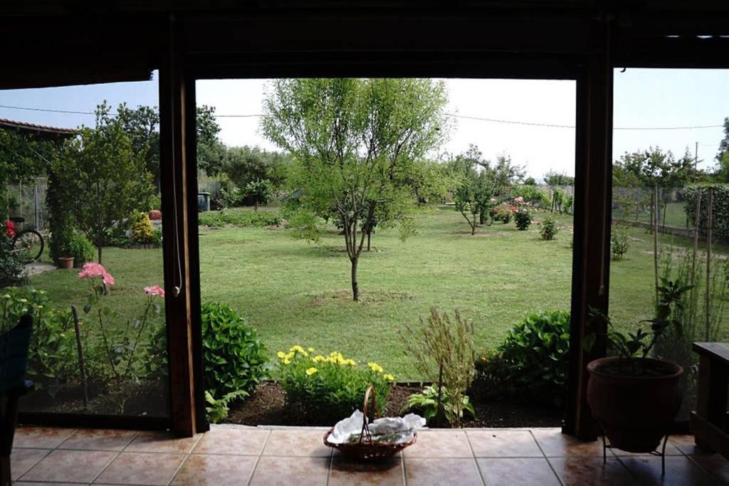 Agrampeli Villa Ierissós Luaran gambar