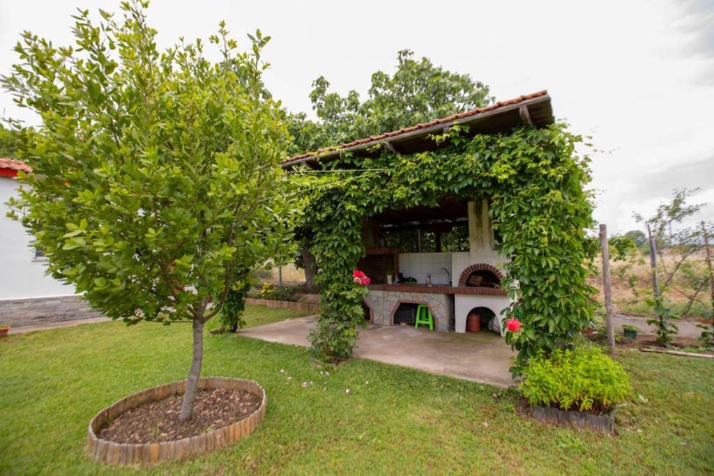 Agrampeli Villa Ierissós Luaran gambar