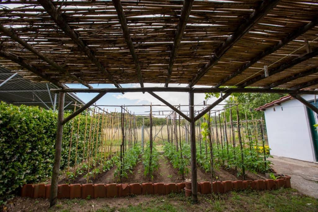 Agrampeli Villa Ierissós Luaran gambar